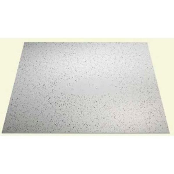 Acoustic Ceiling Products Genesis Printed Pro PVC Ceiling Tile, Waterproof & Washable, 2'L X 2'W - 12/Case 741-00